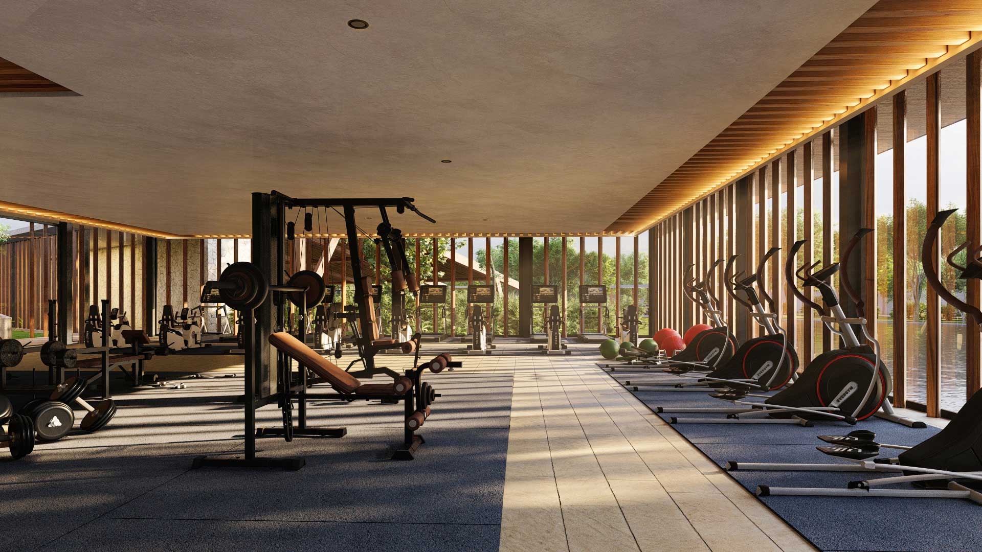 GYM